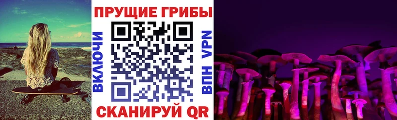 Псилоцибиновые грибы Psilocybe  KRAKEN ONION  Арсеньев 